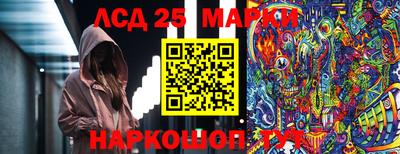 ПСИЛОЦИБИНОВЫЕ ГРИБЫ Заволжье