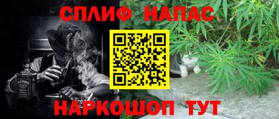 бошки Заводоуковск
